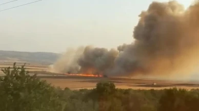 Araban Ovasında buğday tarlaları ve keçiler yandı