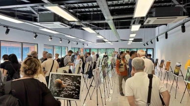 Turkiyenin doğal güzelliklerini Ormanyada keşfedin