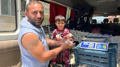 Yöntem ailesi minibüste yaşayarak sarımsak satıyor