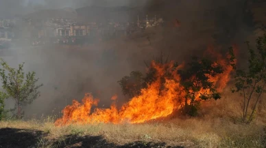 Muş’ta Çıkan Örtü Yangını Ekipler Tarafından Kontrol Altına Alındı