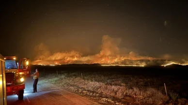 Californiadaki dev yangın 52 bin dönümü yok etti