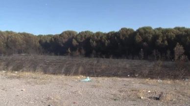 Tuzla Orhanlı Mahallesinde çıkan yangın kontrol altına alındı