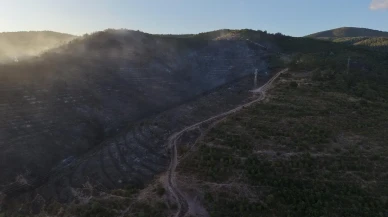 Kocaeli Derince orman yangını ekiplerin müdahalesiyle söndürüldü