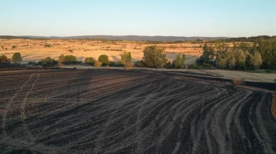 Tekirdağ'ın Malkara ilçesinde yangın 2 bin 500 dönüm alanı yok etti