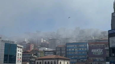Zonguldak'ta soğuk hava dalgası yoğun sis tabakası oluşturdu