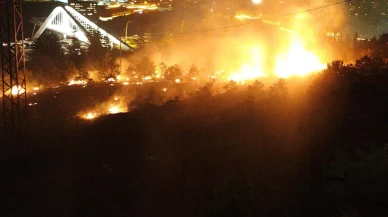 Konya'da havai fişek ağaçlık alanda yangına neden oldu