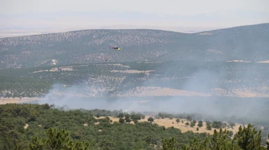 Seyitgazi orman yangınına 200 personel müdahale ediyor