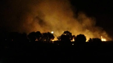 Çanakkale’de Tarım Arazisinde Çıkan Yangın Kontrol Altına Alındı