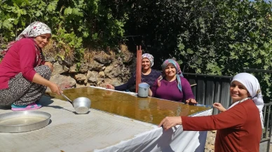 Erzincan Kemaliyede pestil yapımı imece usulüyle yaşatılıyor