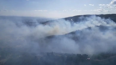 Kocaeli Derince Yenikent ormanlık alanda yangın başladı