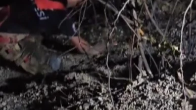 Hatayın Samandağ ilçesinde orman yangını söndürüldü