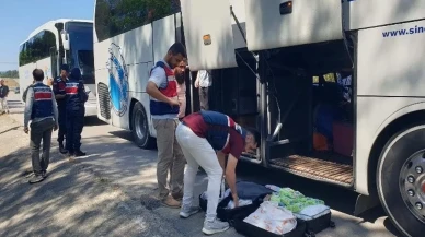 Sinop'ta jandarma ve göç idaresi ekipleri düzensiz göçmen denetimi gerçekleştirdi.