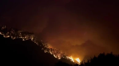 Bakan Uraloğlu Bursa'da Kestel-Gürsu arasındaki yangını inceledi