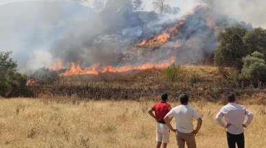 Nazilli'de zirai alanda çıkan yangın itfaiye ekiplerince kontrol altına alındı