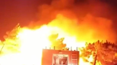 Hatay Samandağ Tomruksuyu Mahallesinde orman yangını başladı