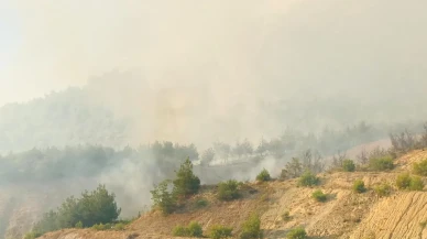 Bilecik’te İpek Yolu Orman Yangını Söndürme Çalışmaları Sürüyor