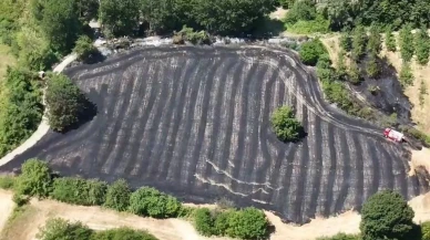 İnegöl'de Köylüler Ve Ekipler Anız Yangınını Kısa Sürede Söndürdü