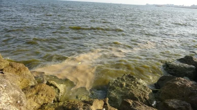 Mersin Körfezinde deniz kirliliği tehlikeli boyutlara ulaştı