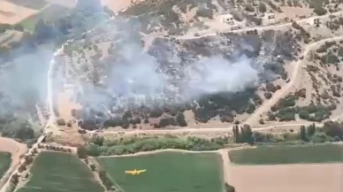 Muğla'nın Milas ilçesinde çıkan yangın kontrol altına alındı