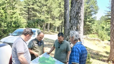 Kazdağı Milli Parkı için yeni gelişme planı hazırlanıyor