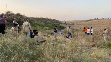 Hatay'da fabrika atıkları nedeniyle dereden su içen küçükbaş hayvanlar telef oldu