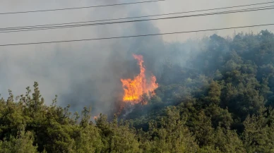 Manisa Valiliği Yunusemre’deki orman yangınına karşı tedbirler aldı.