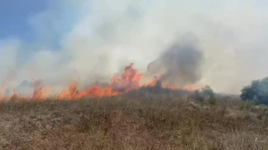 Sakarya Kaynarca'da makilik alanda çıkan yangına ekipler müdahale ediyor