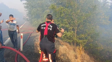 Malatya’daki Orman Yangınları Karadan Ve Havadan Müdahaleyle Kontrol Altına Alındı