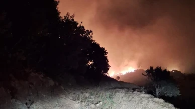 Manisa'nın Köprübaşı ilçesinde orman yangını başladı ekipler müdahale ediyor