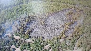 Seyitgazi orman yangını havadan görüntülerle belgelendi