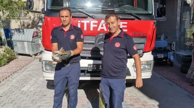 Araç altındaki yavru kediyi Samsun itfaiyesi kurtardı