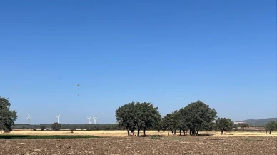 Ezine'de çıkan tarım yangını Orman Bölge Müdürlüğü ekipleri tarafından söndürüldü