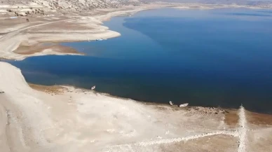 Porsuk Çayı balık ölümleri iddiaları asılsız çıktı