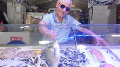 Eskişehir’de Sardalya Ve Kefal Mevsimi Başladı Fiyatlar Arttı