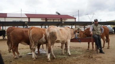 Şap hastalığı nedeniyle tüm hayvan pazarları kapatıldı