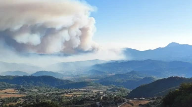 Suriye'deki orman yangını Hatay'ın Yayladağı ilçesine sıçradı