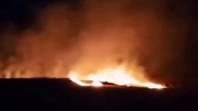 Tekirdağ Süleymanpaşada buğday tarlaları yangında yok oldu