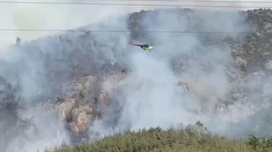 Bilecik'te Gölpazarı ve Deresakarı Köyleri Arasında Orman Yangını Çıktı