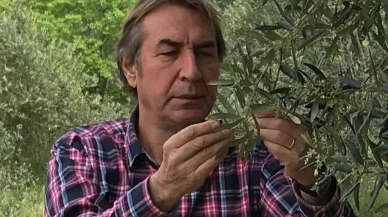 Zeytinyağı fiyatları yok yılı öncesi düşüşe geçti