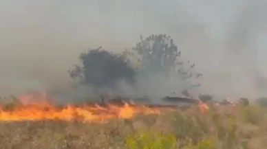 Malatya Doğanyol’da bahçede çıkan yangın itfaiye tarafından söndürüldü
