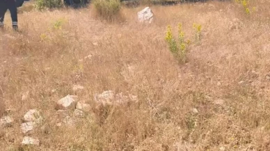 Tuncelide ekili alanda çıkan yangın söndürüldü