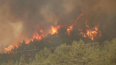 Karabük’te Orman Yangını Rüzgarın Etkisiyle Yeniden Alevlendi