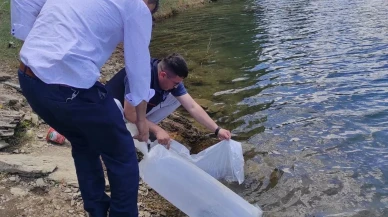 Kütahya Emet göletlerine binlerce sazan balığı bırakıldı
