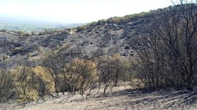Şahin Tepesi Mesire Alanında çevre felaketi yaşanıyor