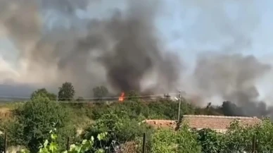 Edirne Meriç Rahmanca köyünde tarla yangını yayıldı
