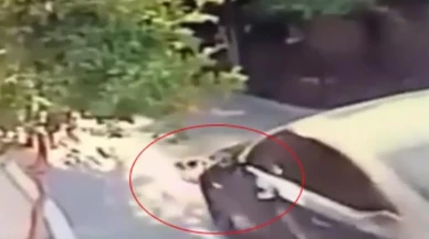 Mersinde sürücü köpeğe çarpıp kaçtığı ortaya çıktı