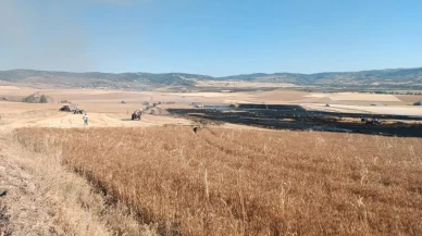 Çorum'da çıkan yangında 3 bin dekar buğday tarlası zarar gördü