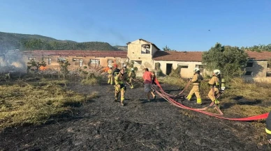 Erdek'te elektrik tellerinden çıkan yangın zeytinliklere sıçradı