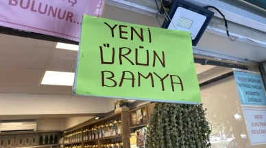 Eskişehir'de çiçek bamya fiyatları son bir ayda düştü