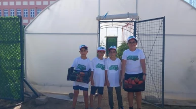 Erzincan’da Demirkent TOKİ Ortaokulu öğrencileri serada sebze yetiştiriyor